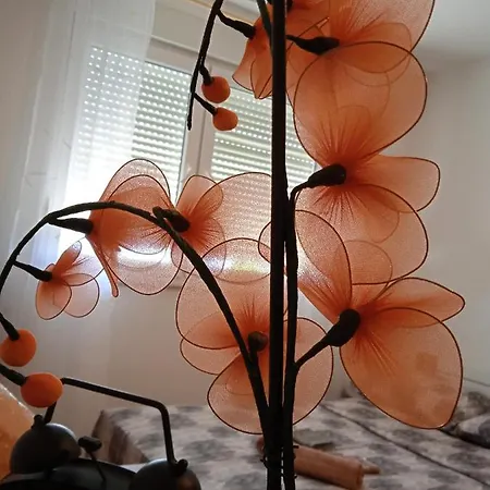 Adria - Appartement Rijeka